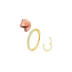 20G 18G Titanium Nose Ring Hoop, Cartilage Hoop Earrings for Women Men, Hinged Silver Gold CZ Nose Ring Upper Ear Tragus Daith Conch Helix Septum Nose Piercing Jewelry 6/8/10mm