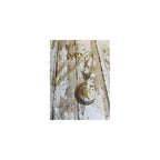 Silver Crescent Moon with Glow In The Dark Caged Essence Steampunk Cosplay Costume Pendant Necklace